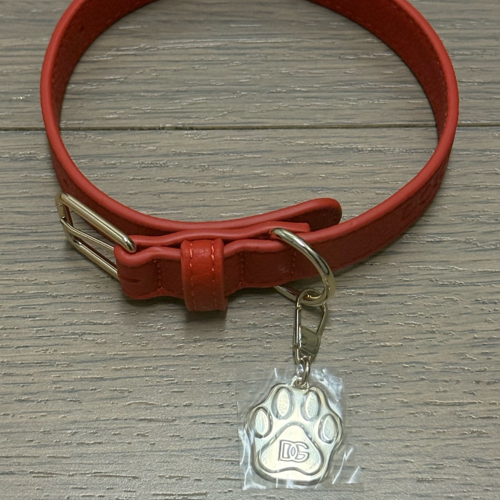 Dolce & Gabbana Dog Collar